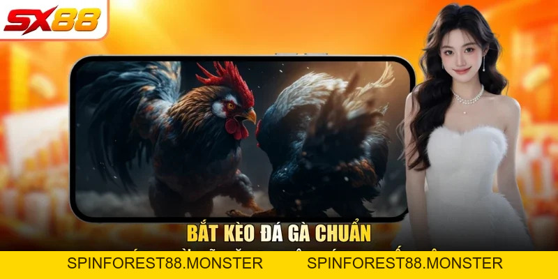 Bắt Kèo Đá Gà SX88 Chuẩn 2026 Nhờ Kỹ Năng Quan Sát
