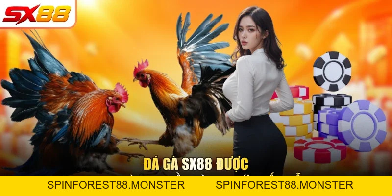 Đá Gà SX88 - Đơn Vị Cá Cược Với Đa Dạng Hình Thức Thi Đấu