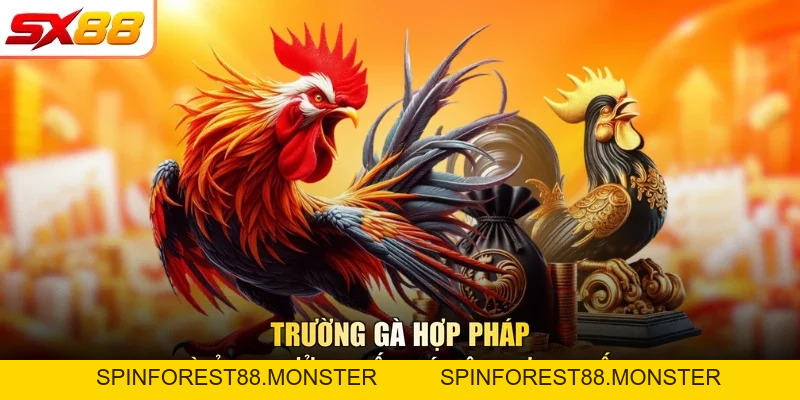 Trường Gà Hợp Pháp | Biểu Tượng Đá Kê SX88 Năm 2026